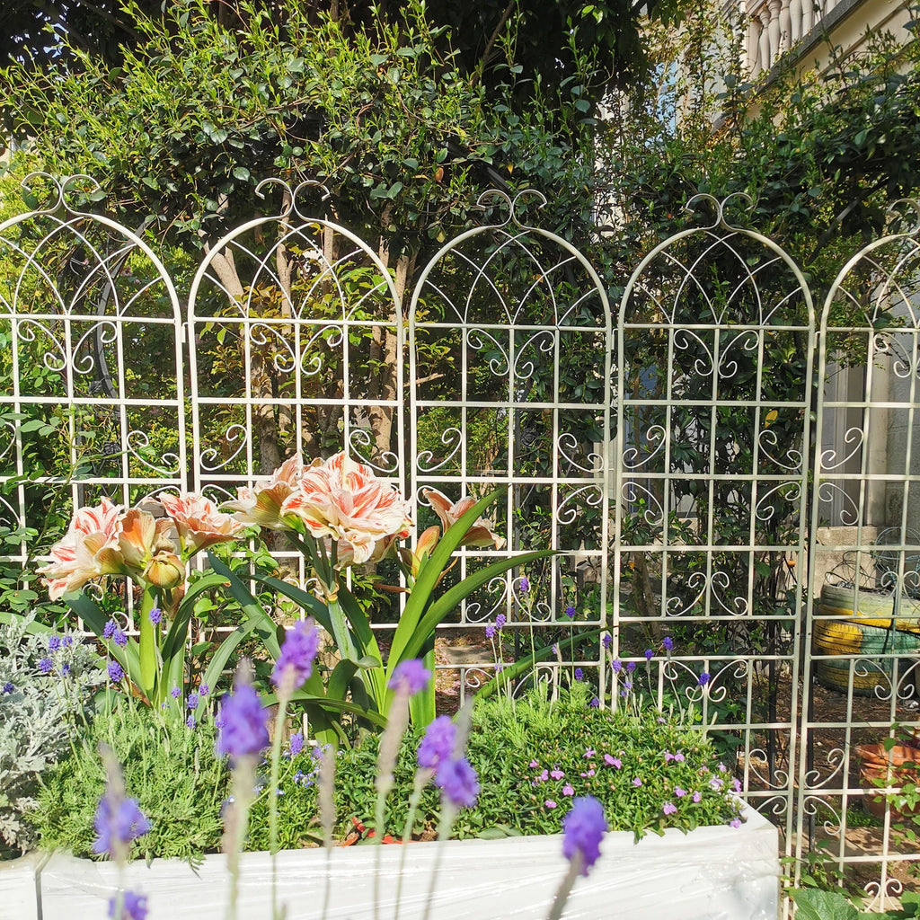 Metal Garden Rustproof Trellis for Climbing Plants – Outdoor Flower Support