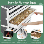 Wooden Chicken Nesting Box with 2 Egg Collection Drawers - White / Gray