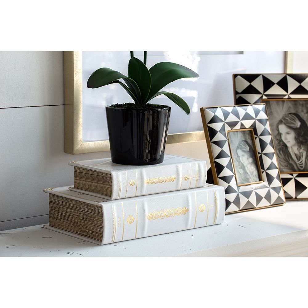 Book Boxes Set of 2 with Faux Leather Covers - White / Gold