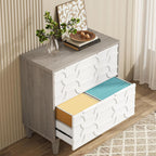 2 Drawer Lateral File Cabinet with Dual-Space Drawers - Gray / White
