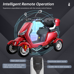 Electric Mobility Scooter with High Power - Large Size