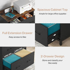 2 Drawer Lateral File Cabinet with Heavy Duty Steel Frame - Brown/Black