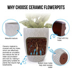 Ceramic Planter with Drainage Hole - White or Light Blue