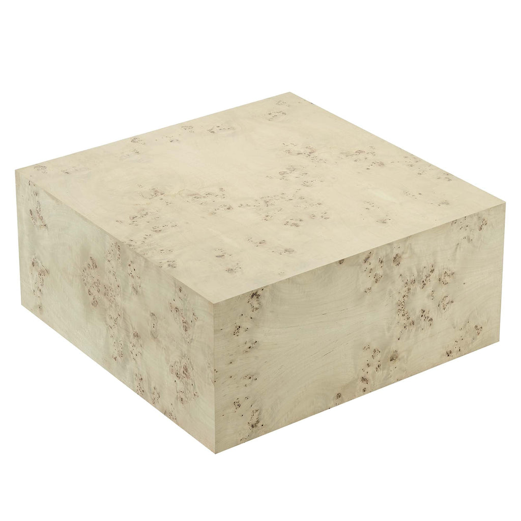 Cosmos 36" Square Burl Wood Coffee Table by Modway