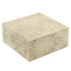 Cosmos 36" Square Burl Wood Coffee Table by Modway