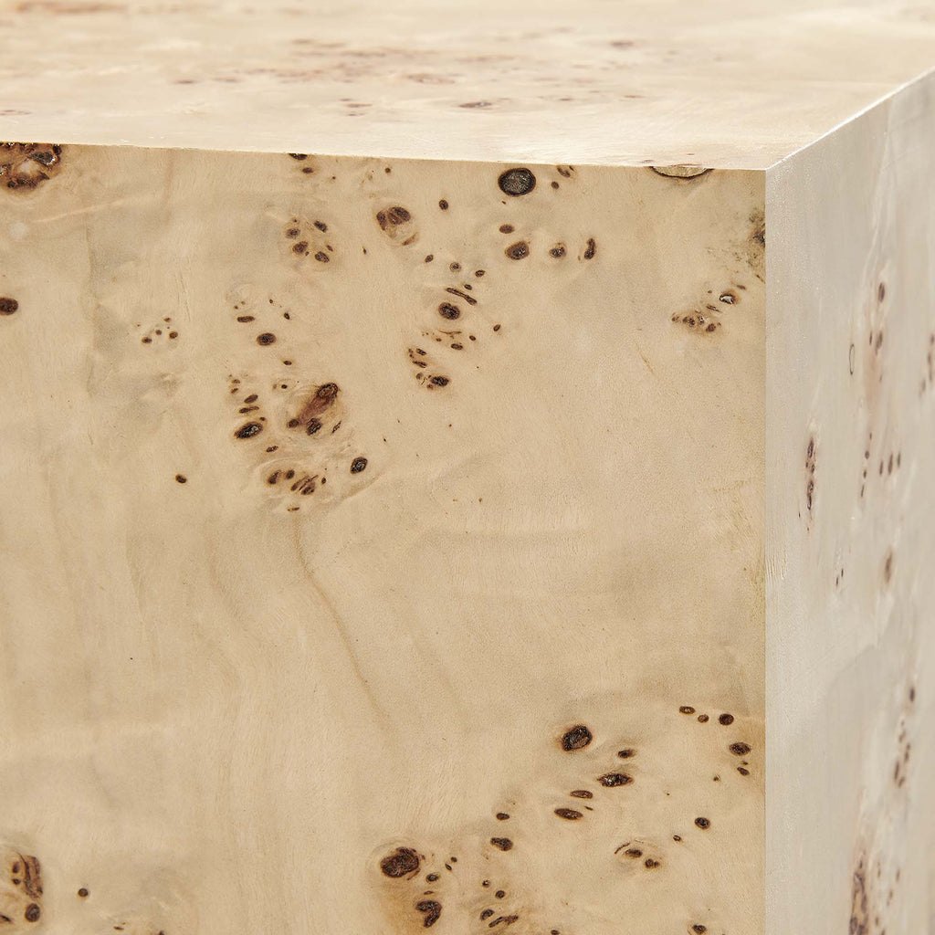 Cosmos 36" Square Burl Wood Coffee Table by Modway