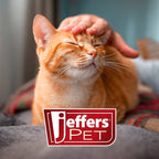 Jeffers Dual-Level Pin Slicker Brush for Dogs & Cats