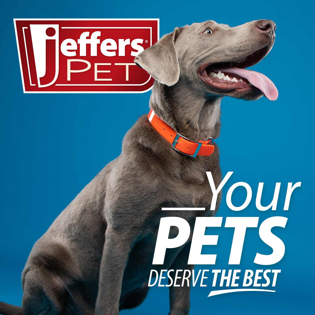 Jeffers Dual-Level Pin Slicker Brush for Dogs & Cats