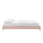 Gwyneth Tufted Performance Velvet Queen Platform Bed by Modway - MOD-6751