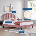 Daisy Tapered Wood Leg Performance Velvet Queen Platform Bed by Modway