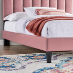 Daisy Tapered Wood Leg Performance Velvet Queen Platform Bed by Modway