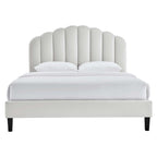 Daisy Tapered Wood Leg Performance Velvet Queen Platform Bed by Modway