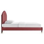 Daisy Performance Velvet Platform Bed by Modway