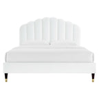Daisy Performance Velvet Platform Bed by Modway