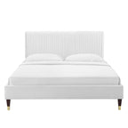 Peyton Performance Velvet Queen Platform Bed by Modway - MOD-6596