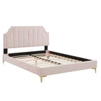 Sienna Performance Velvet Queen Platform Bed by Modway - MOD-6712