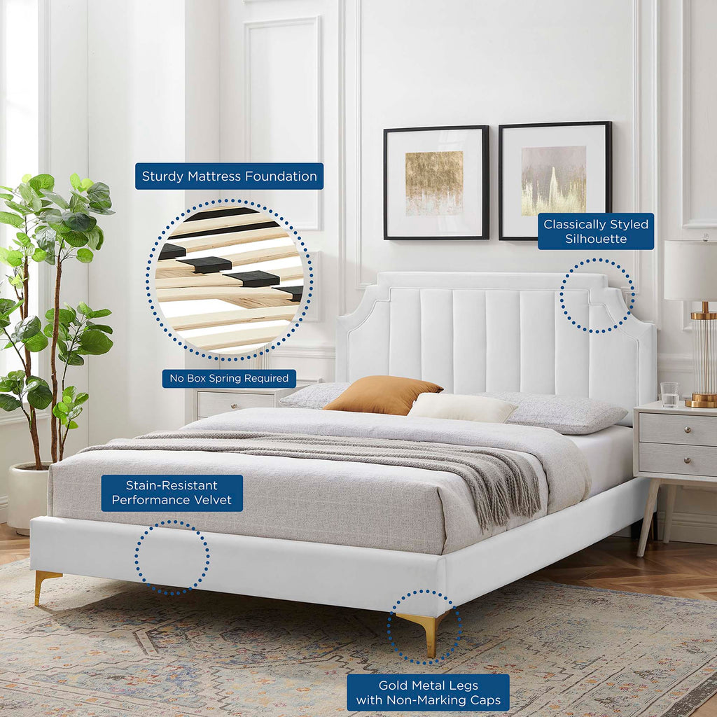Sienna Performance Velvet Queen Platform Bed by Modway - MOD-6712