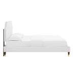 Sienna Performance Velvet Queen Platform Bed by Modway - MOD-6713