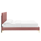 Current Performance Velvet Queen Platform Bed by Modway - Dusty Rose / Pink / White