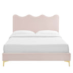 Current Performance Velvet Queen Platform Bed by Modway - Dusty Rose / Pink / White