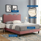 Current Performance Velvet Queen Platform Bed by Modway - Dusty Rose / Light Gray / Pink / White
