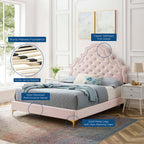 Gwyneth Tufted Performance Velvet Full Platform Bed by Modway - MOD-6757