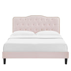 Amber Performance Velvet Queen Platform Bed by Modway - MOD-6777