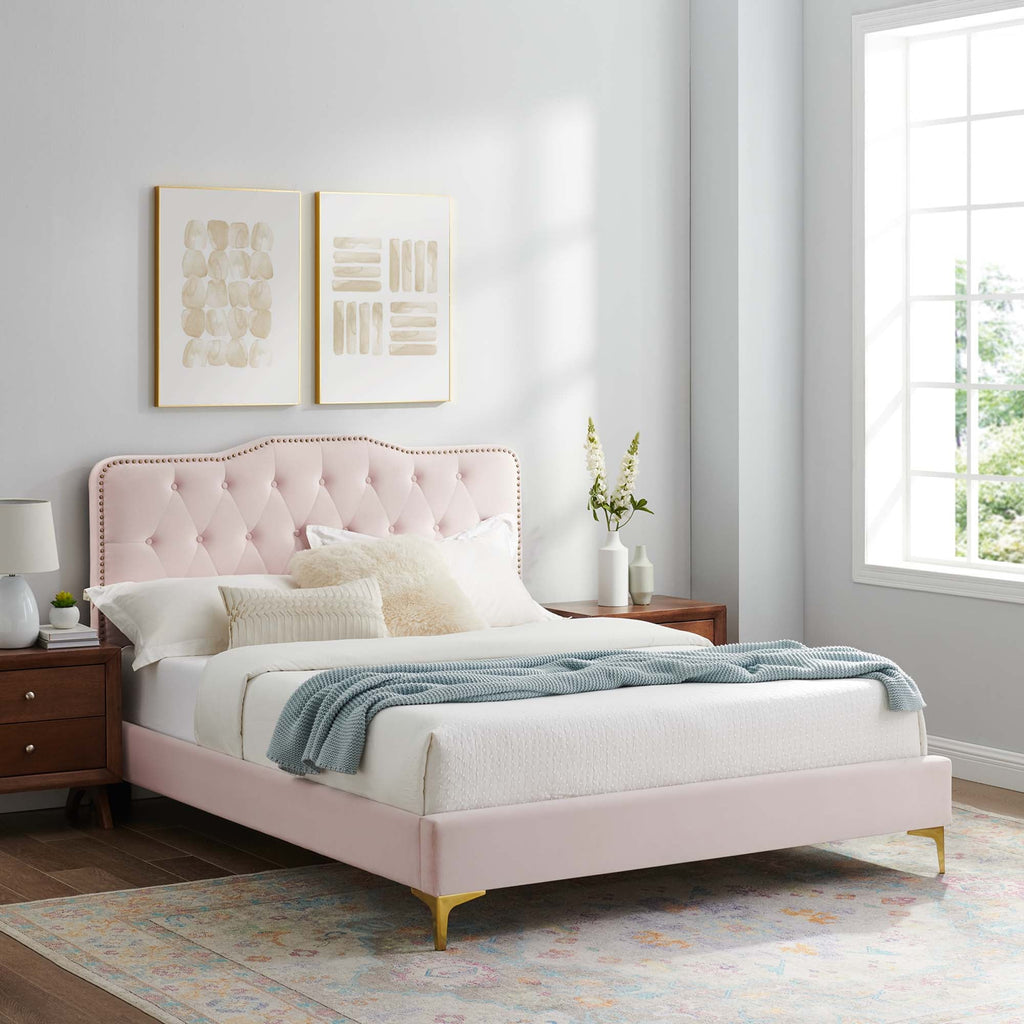 Amber Tufted Performance Velvet Platform Bed by Modway