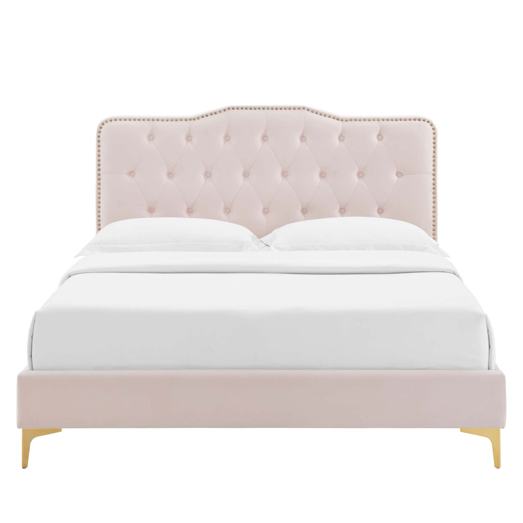 Amber Tufted Performance Velvet Platform Bed by Modway