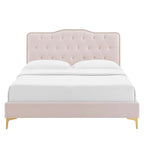 Amber Tufted Performance Velvet Platform Bed by Modway
