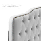Amber Tufted Performance Velvet Platform Bed by Modway