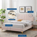 Sienna Performance Velvet Twin Platform Bed by Modway - MOD-6906