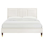 Sofia Channel Tufted Performance Velvet Queen Platform Bed by Modway - MOD-6971