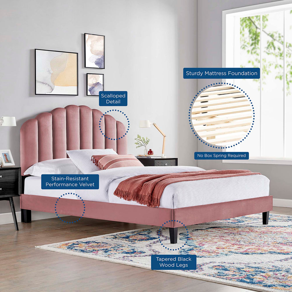 Daisy Performance Velvet Platform Bed by Modway