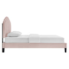 Daisy Performance Velvet Platform Bed by Modway