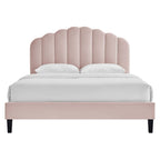 Daisy Performance Velvet Platform Bed by Modway