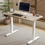 55"×24" Light Electric Standing Desk