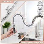 Stainless Steel High Arc Kitchen Faucet with Pull Down Sprayer - Brushed Nickel