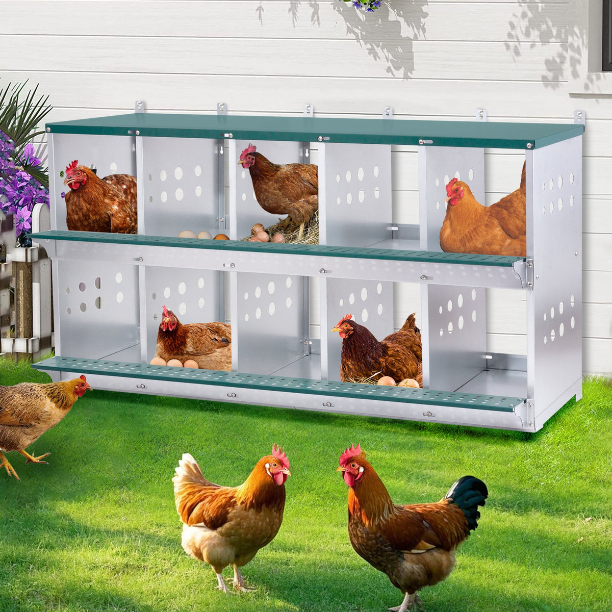 10-Bay Metal Nest Box with Wall Mount - Galvanized Steel