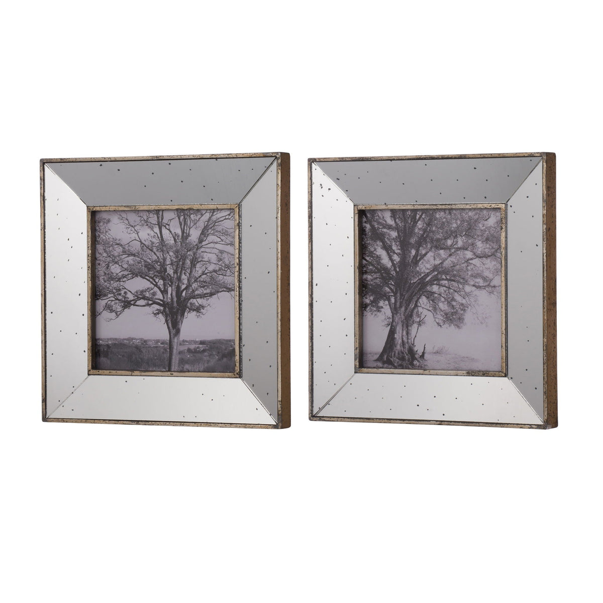 Vintage Reflective Picture Frames with Mirrored Surface - Silver