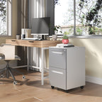 2-Drawer Mobile File Cabinet with Lock - White