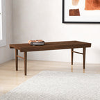 Dark Brown Wood Accent Bench with Solid Wood Frame - Mia