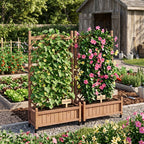Raised Garden Bed with Trellis 2 Pack – Solid Wood Planter & Plant Stand, Brown