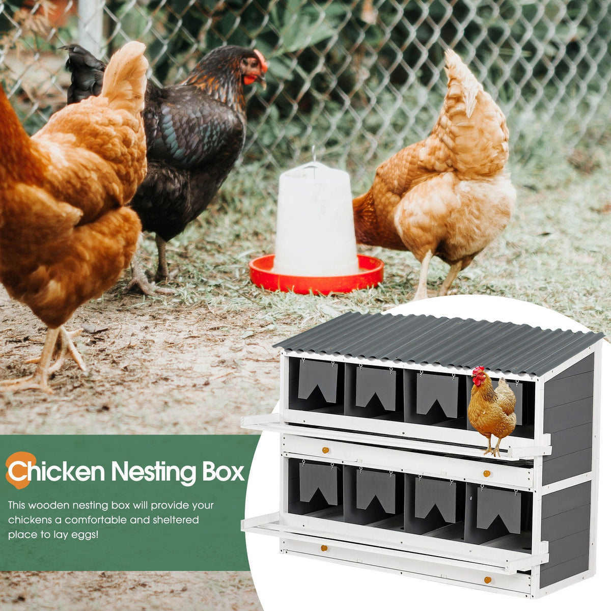 Wooden Chicken Nesting Box with 2 Egg Collection Drawers - White / Gray