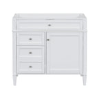 Bathroom Vanity with 2 Drawers and Tip-Out Storage - Multiple Colors
