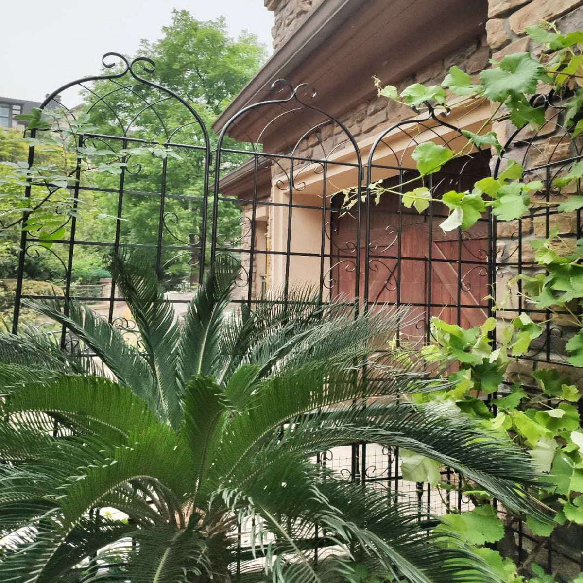 Metal Garden Rustproof Trellis for Climbing Plants – Outdoor Flower Support