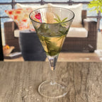 V Shaped Unbreakable Plastic Wine Glasses with 14Oz Capacity - Clear (Set of 4)