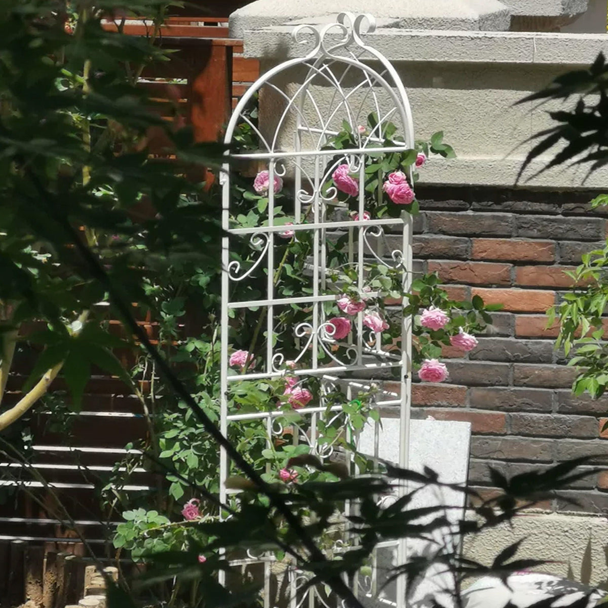 Metal Garden Rustproof Trellis for Climbing Plants – Outdoor Flower Support