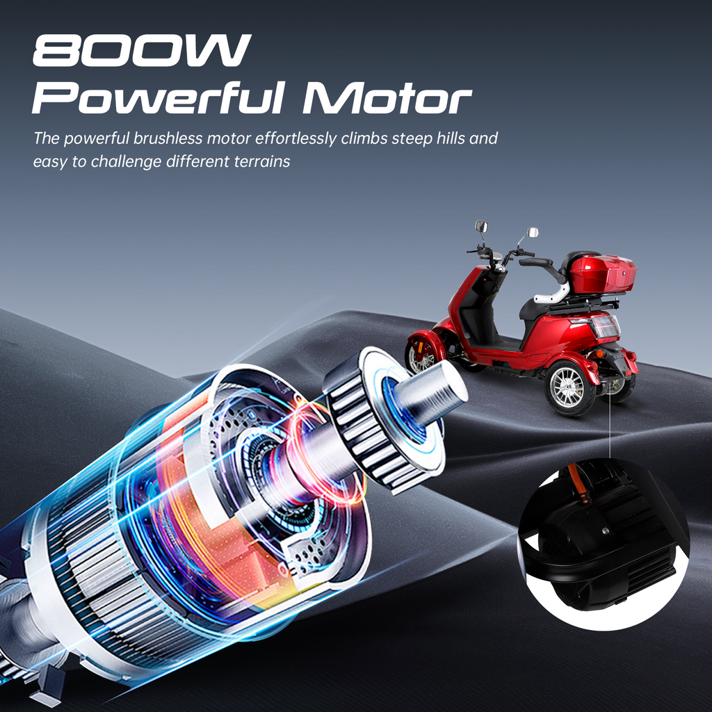 Electric Mobility Scooter with High Power - Large Size