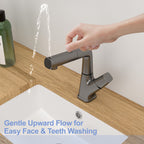 Pull Down Bathroom Sink Faucet with 3 Water Modes - Gunmetal Black